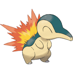 Watch out when he farts.